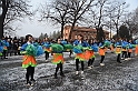 Sfilata carri Carnevale di Torino_249